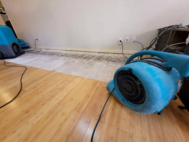 Professional Burst Pipe Water Damage technician working in Green Valley Lake, CA